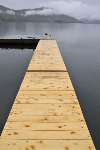 yellow-cedar